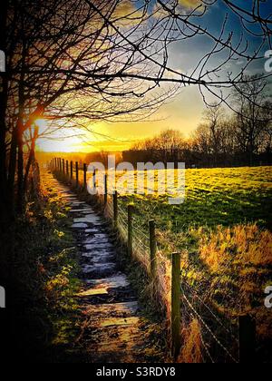 ‘Lass die Sonne nicht auf mich untergehen’ die Sonne untergeht am Ende des Landwegs und beleuchtet ein Bauernfeld Stockfoto