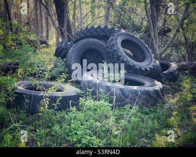 Alte Traktorreifen, die im Wald weggeworfen wurden. Stockfoto