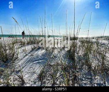 Blick durch das Gras auf Sand Dunes in Richtung Bean Point Beach auf Anna Maria Island in Florida Stockfoto