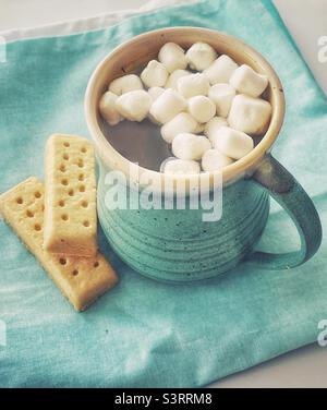 Tasse heiße Schokolade mit Salmmil und ein paar Keksen. Stockfoto