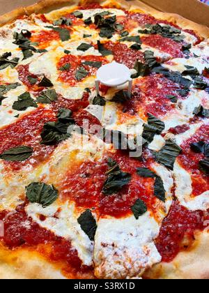 Nahaufnahme einer frisch gebackenen Margherita Pizza Stockfoto
