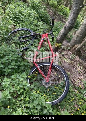 Ein verlassenes Fahrrad ohne Sattel im Wald in East Sussex Stockfoto