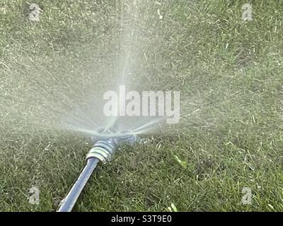 Im Frühjahr in Utah, USA, wird ein Rasen von einem Schlauchsprinkler bewässert. Stockfoto