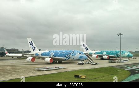 Zwei ANA Airbus 380 mit Schildkrötenfarbe auf Langzeitparkplätzen am Flughafen Narita, Japan. Stockfoto