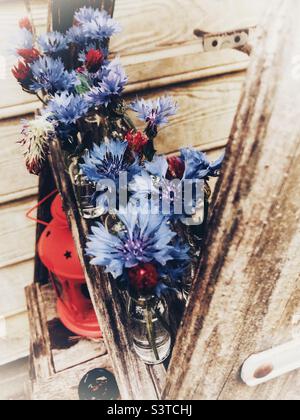 Bachelor-Knopfblüten und karmesinrote Kleeblüten, die in Glasfläschchen auf einer Leitertreppe angeordnet sind Stockfoto