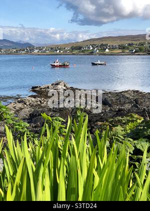 Blick auf den Hafen von Broadford, Isle of Skye, Schottland Stockfoto