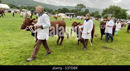 Große Parade in drei Grafschaften zeigen 2022 Stockfoto