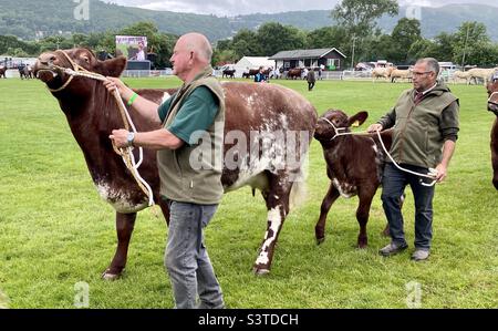 Große Parade in drei Grafschaften zeigen 2022 Stockfoto