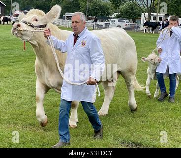 Große Parade in drei Grafschaften zeigen 2022 Stockfoto