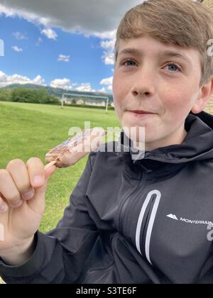 Junge, der ein Eis in einem Park isst Stockfoto