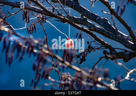 Dort hängen Stockfoto