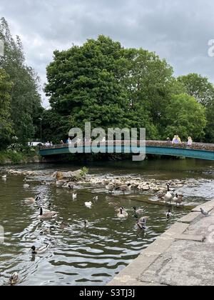 Brücke über den Fluss Wye in Bakewell, Peak District Stockfoto