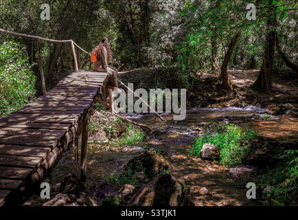 Eine Wanderin macht eine Pause und sitzt auf einer klapprigen Holzbrücke, die einen Bach in einem bewaldeten Gebiet, Lapas, Mittelportugal, überquert Stockfoto