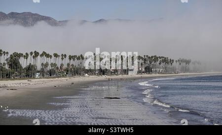 Der Meeresnebel rollt über den Strand und die Palmen und verdeckt die fernen Berge in Santa Barbara, Kalifornien. Seitenansicht Stockfoto