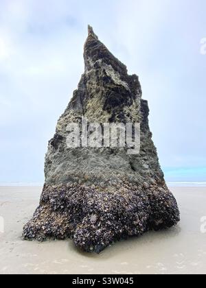 Ein Meeresstapel am Face Rock Beach in Bandon, Oregon. Stockfoto