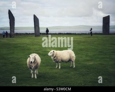 Stehende Steine von Stenness, Orkney, Schottland Stockfoto