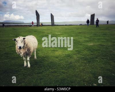 Stehende Steine von Stenness, Orkney, Schottland Stockfoto