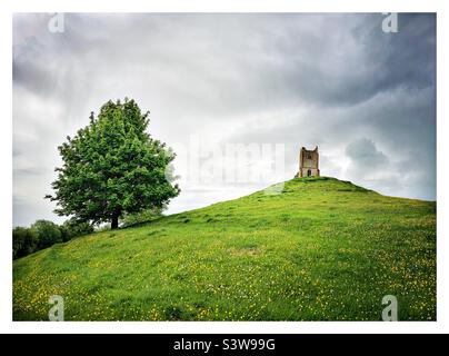 Fuchsbau prahlen Stockfoto