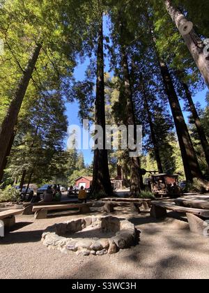 Eine Feuerstelle, umgeben von Bänken und Redwood-Bäumen, auf einem Campingplatz in Kalifornien. Stockfoto