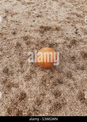 Basketball auf ausgetrocktem Gras während der Hitzewelle in London, Großbritannien Stockfoto