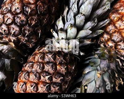 Drei Ananas in dunklen Farben Stockfoto