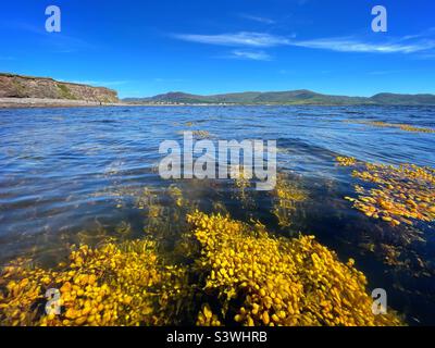 Blick vom Meer auf die Stadt Waterville an der Ballinskelligs Bucht, Grafschaft Kerry, Republik Irland, August. Stockfoto