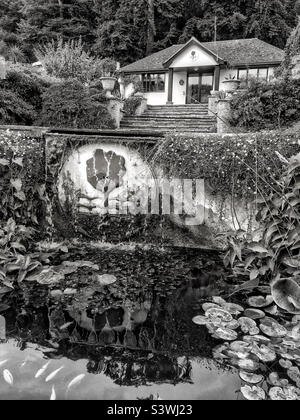 Carp Pond at the Pines Garden, St. Margarets Bay, Kent Stockfoto