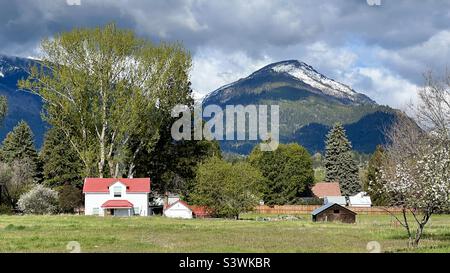 HAMILTON, MT, MAI 2022: Weißes Haus mit rotem Dach und nahe gelegener Hütte, Grasland, Bäumen und schweren Wolken über Bergen im Hintergrund Stockfoto