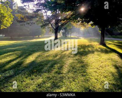 Glückseliger Morgen in einem schönen Park, Ontario, Kanada. Spiel von Licht und Schatten. Der perfekte Ort für inspirierende Kontemplation, Meditation oder Shin-Rin Yoku. Noch keine Menschen oder Tiere. Stockfoto