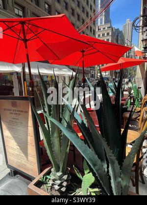 Rote Sonnenschirme für Mahlzeiten im Freien an einer New York City Straße, USA Stockfoto