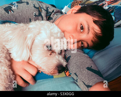 Ein Junge legt sich auf sein Bett und kuschelt seinen Cavapoo-Hund. Stockfoto