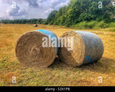 Heuballen auf einer Hampshire-Wiese im Spätsommer Stockfoto