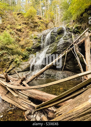 Cascade Falls im Sommer, Moran Sate Park, Orcas Island, Washington. Stockfoto