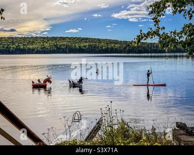 Eine Frau auf einem Stand-up-Paddle-Board bringt Kinder auf aufblasbaren Ballons und Elche schwebt auf einem See im Norden von Maine, USA. Ein Junge sitzt auf einem Paddelbrett und sieht zu, wie sie vorbeikommen. Stockfoto