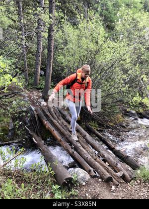 Eine Frau in einer orangefarbenen Jacke überquert eine Holzbrücke im Wald in Colorado, USA Stockfoto