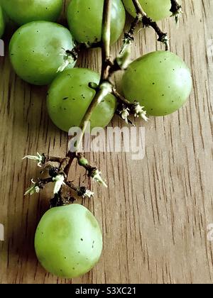 Frische grüne Trauben liegen auf einem Holzküchentisch. Stockfoto