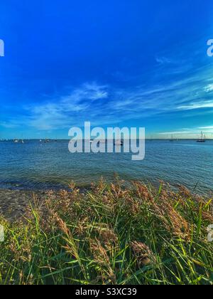 Schilf und Meer, Leigh-on-Sea, Essex Stockfoto