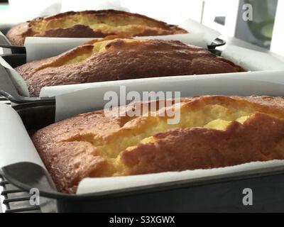 Joghurt-Kuchen aus Lemmon Stockfoto