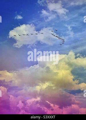 Wolken über dem Salt Lake Valley in Utah, USA. IOS App Distressed FX+ wurde verwendet, um Farbeffekte und die silhouettierten „Vögel im Flug“ hinzuzufügen. Stockfoto