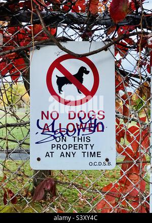 Vandalisiert No Dogs allowed sign. Stockfoto