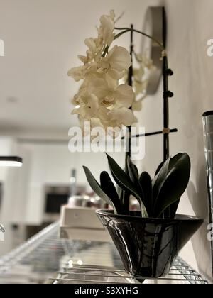 Künstlicher Orchideentopf in einer Küche Stockfoto