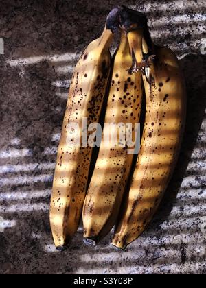 Drei reife Bananen in Licht und Schatten Stockfoto