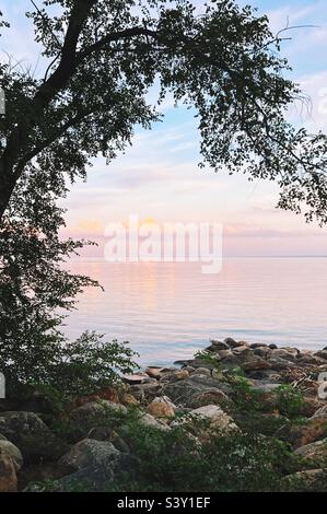 Traumhafte Sonnenuntergänge durch Bäume am Ufer des Lake Ontario canada. Stockfoto