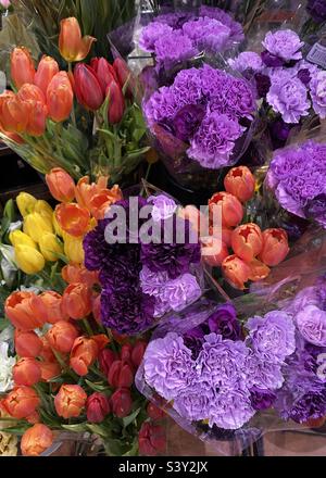 Eine schöne Darstellung einer Vielzahl von Tulpen und Chrysanthemen. Stockfoto