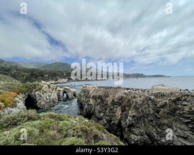 Point Lobos Natural Reserve, Kalifornien. Stockfoto