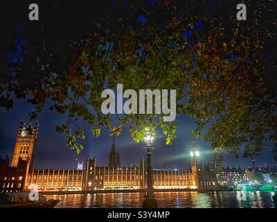 Houses of Parliament und Westminster Bridge vom St. Thomas’s Hospital London an der Themse bei Nacht. Beleuchtung unter der Brücke und Reflexionen auf dem Fluss. Foto unter einem Baum. Stockfoto
