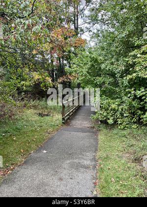 Michigan Cut River Bridge Park am Straßenrand und Wanderweg mit einer Holzbrücke, die durch den Wald in Naubinway MI führt. Stockfoto