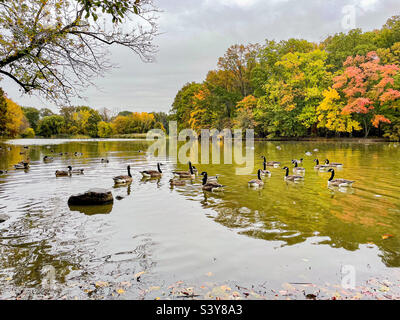 Willowbrook Park Staten Island Stockfoto