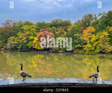 Willowbrook Park Staten Island Stockfoto