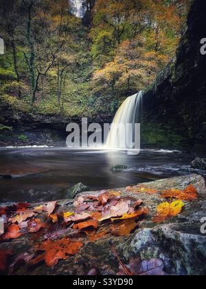 Sgwd Gwladus, die Dame fällt auf den Fluss Pyrddin, Vale of Neath, Brecon Beacons, Herbst. Stockfoto